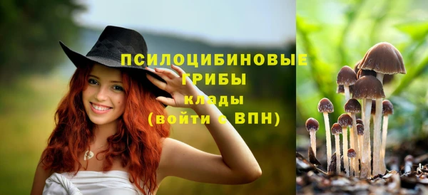 дмт Абинск