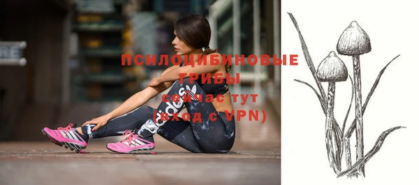 шишки Алагир