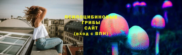 прущие крисы Абаза