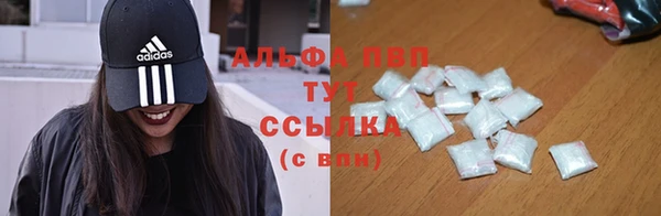 прущие крисы Абаза