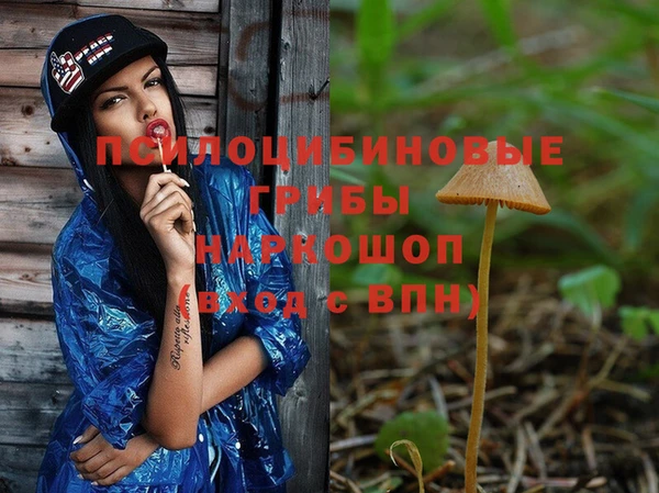 дмт Абинск